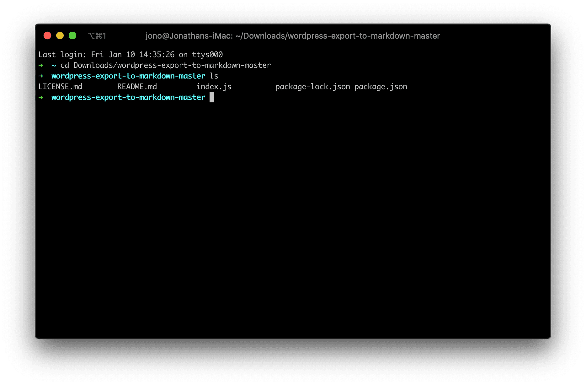 Opening up the terminal